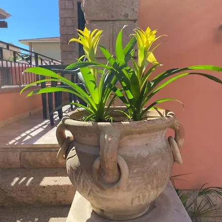 Marogna فندق مبيت وإفطار 3*